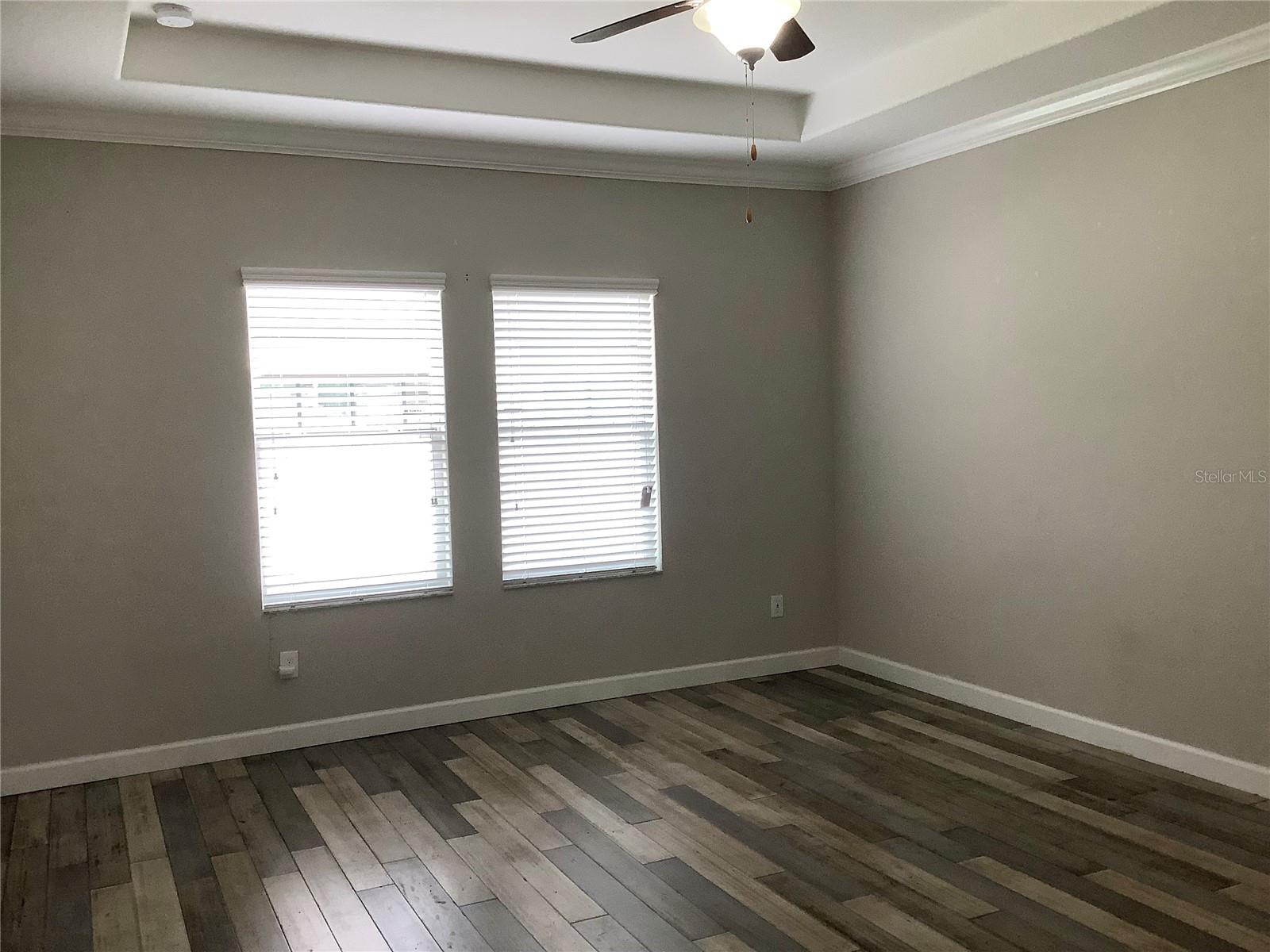 Master BR w. trey ceiling
