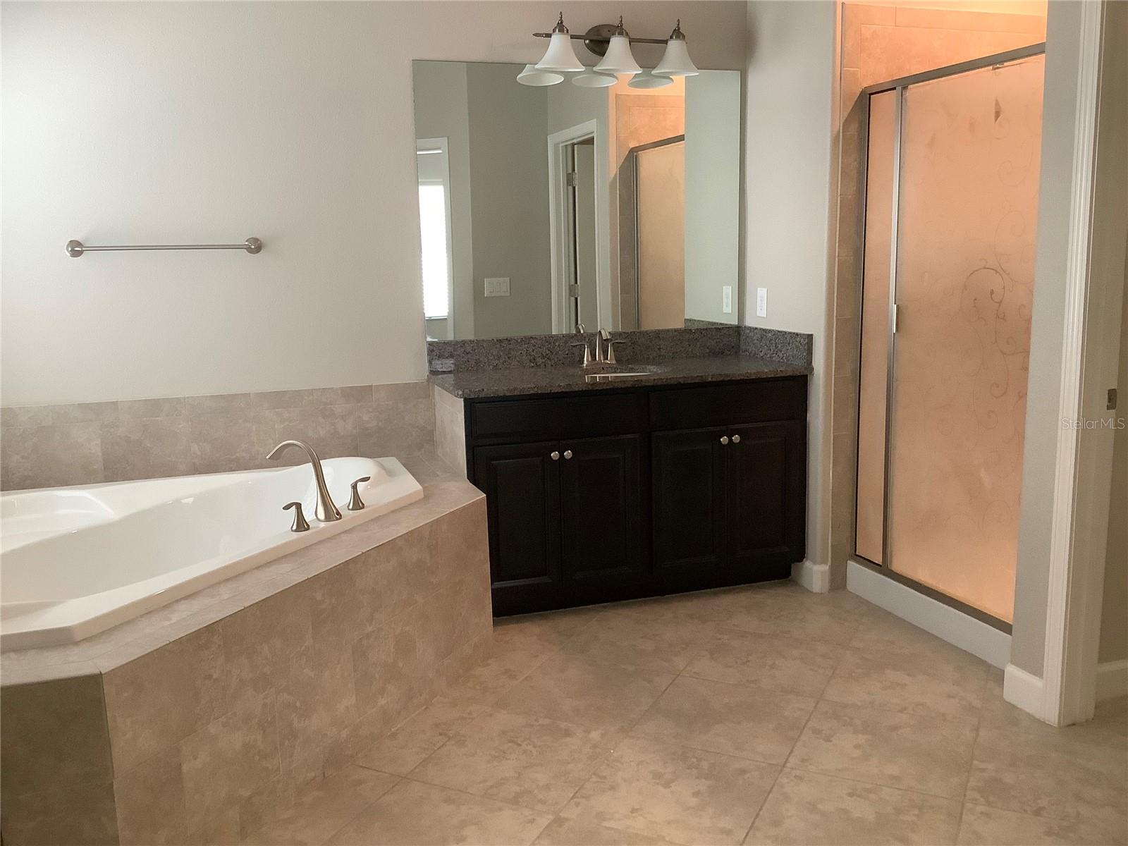 Jetted tup and separate shower