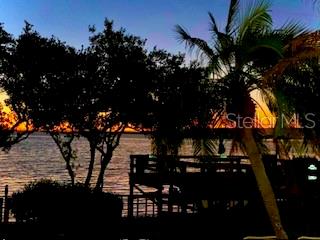 View looking through trees over the community Observation pier