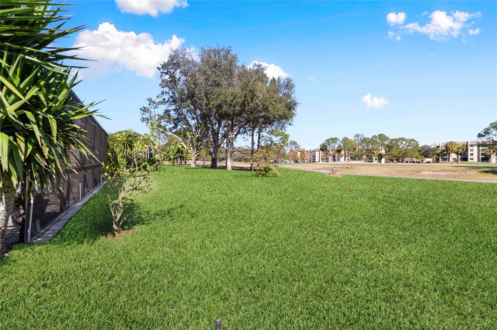 Backyard with Banana tree and Lemon