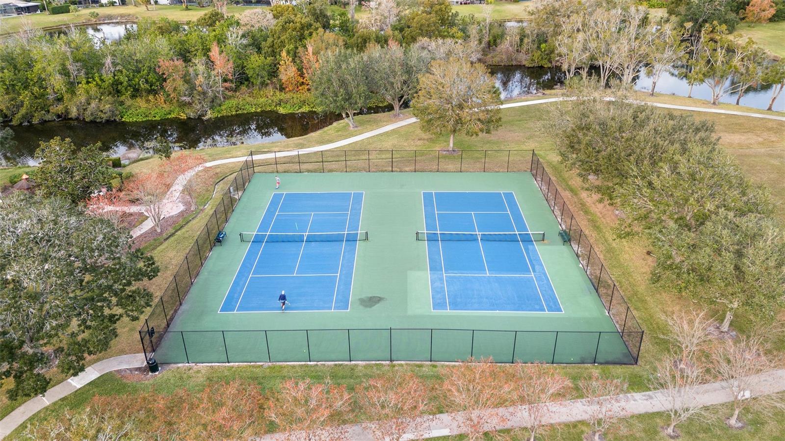 Carrollwood Tennis courts