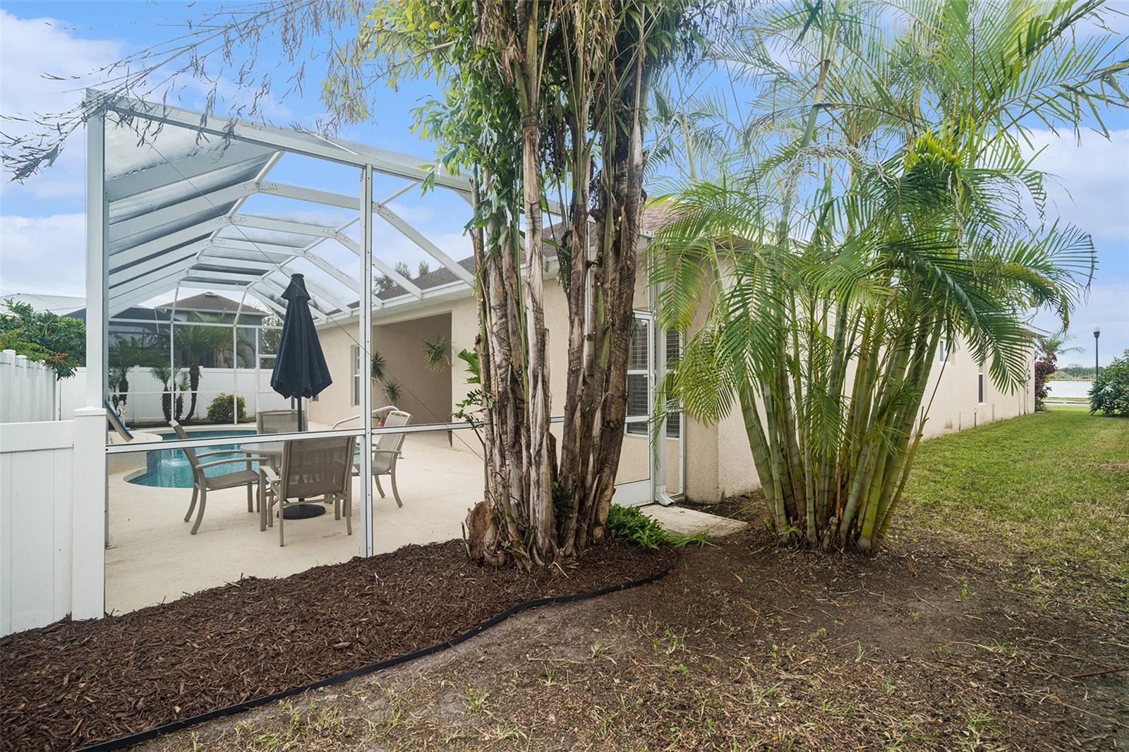 outside landscaping by pool cage