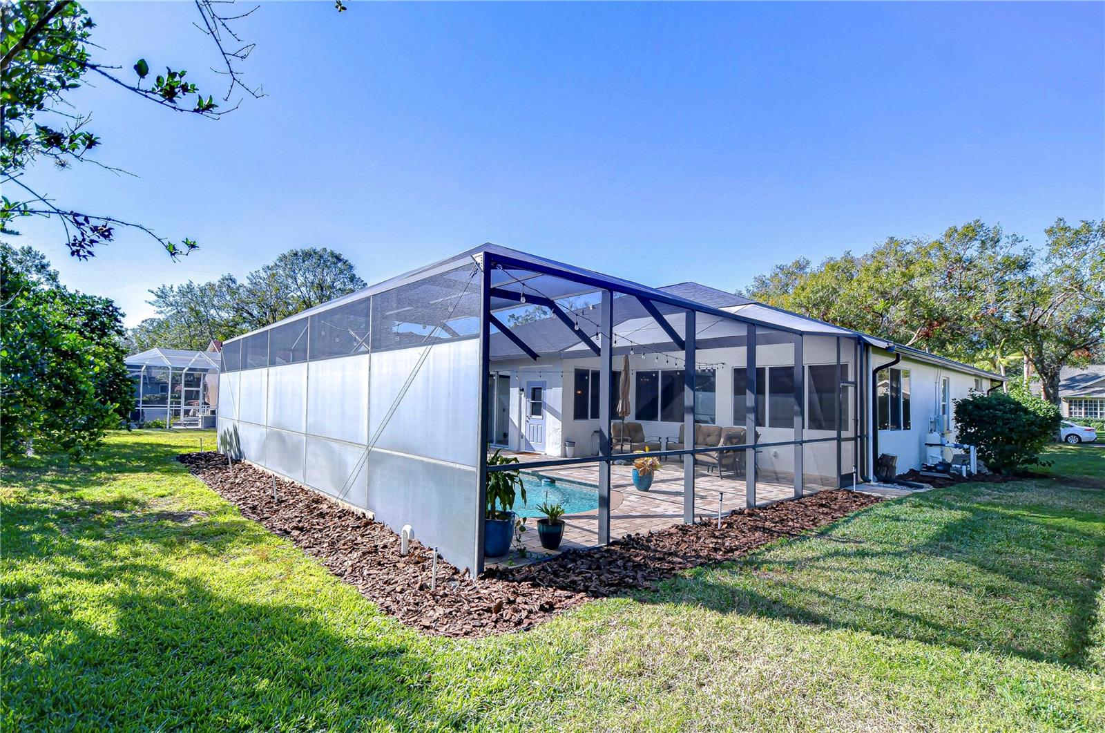 Cageless backyard space!