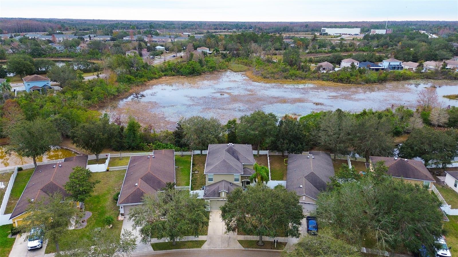 Large conservation area behind home