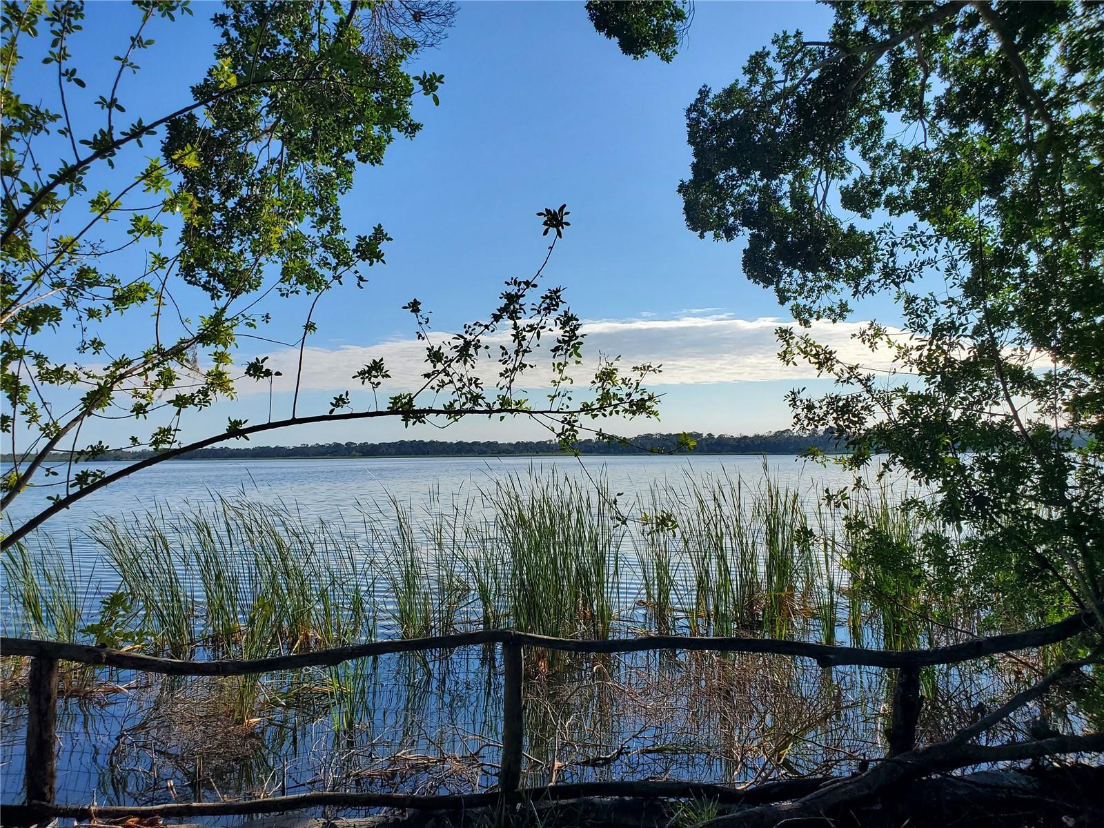 Waterfront View