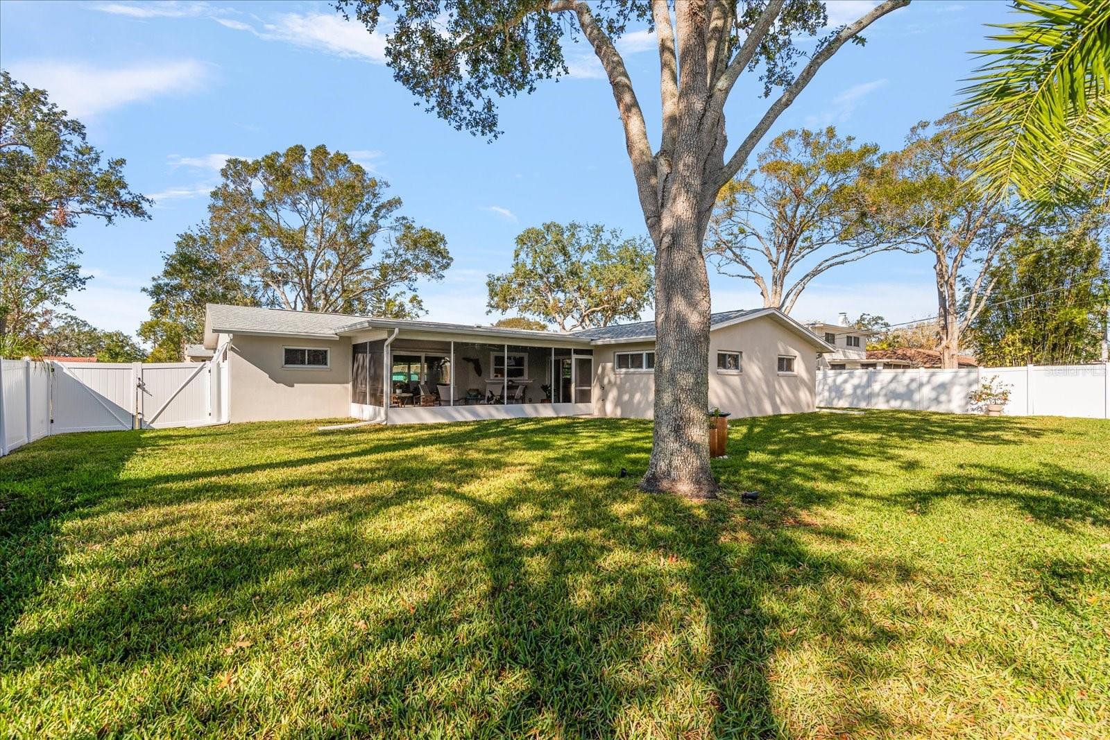 Backyard with vinyl fencing (December 2020)