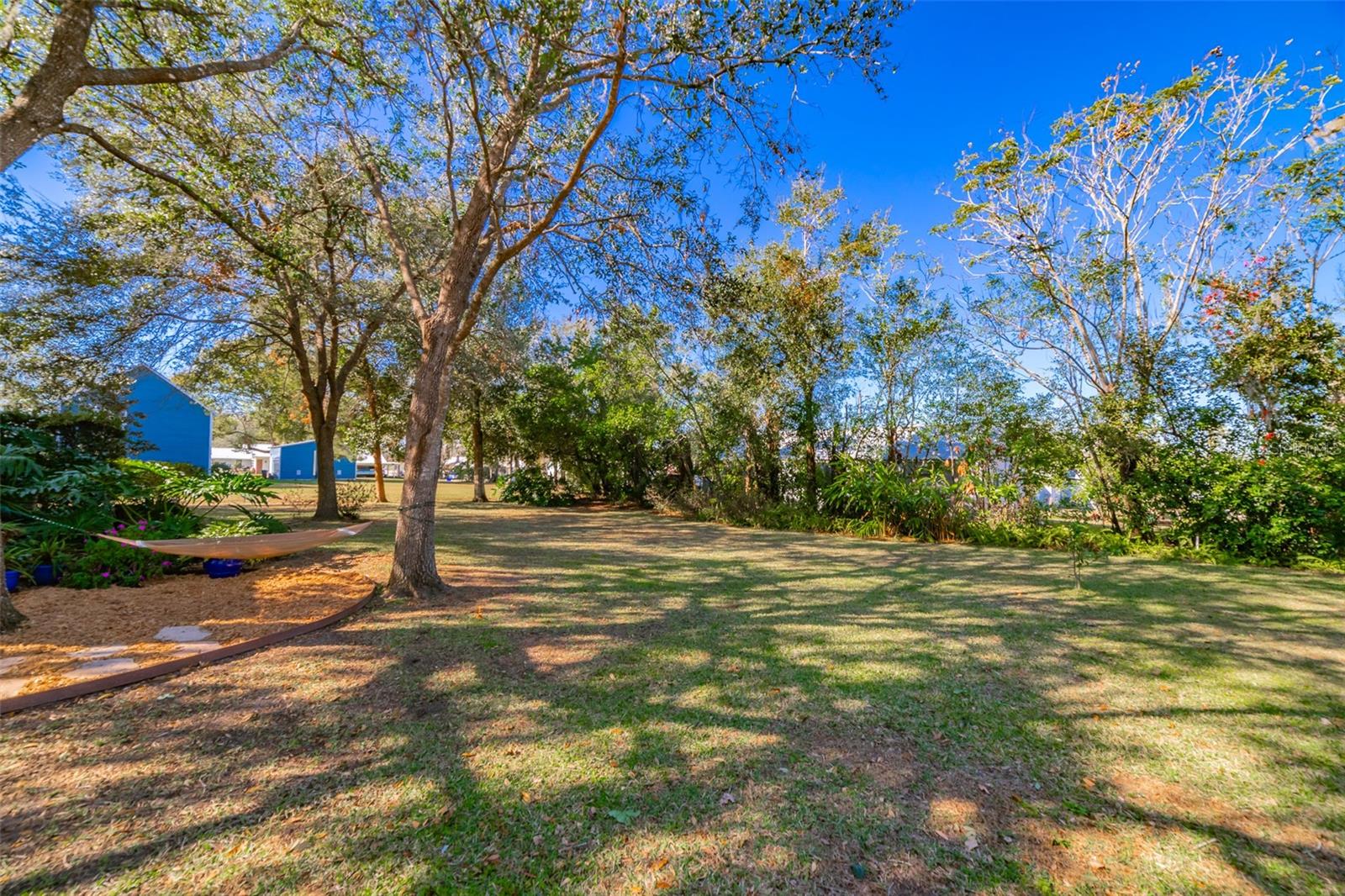 Spacious Back Yard