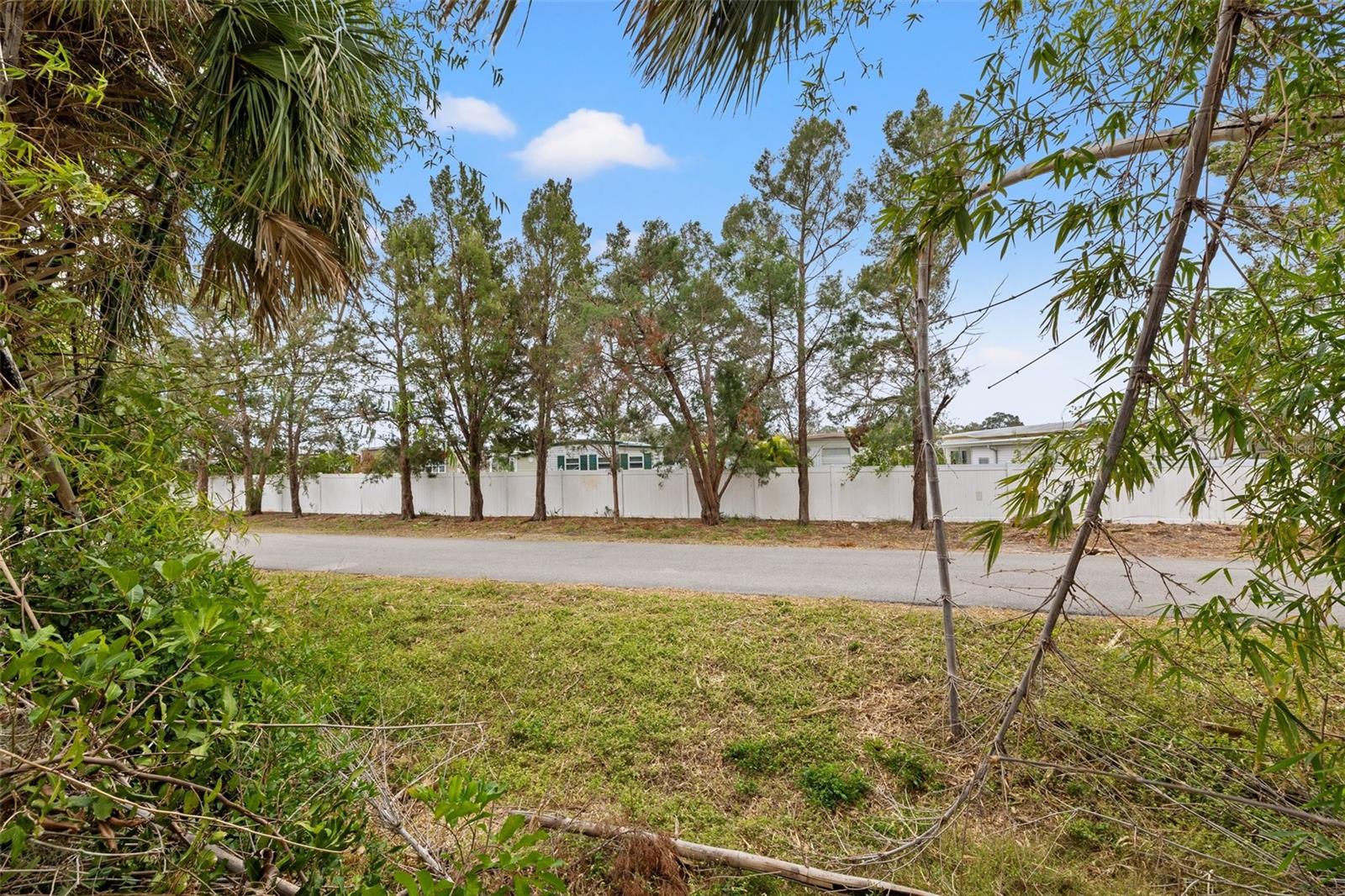 Backs up to the Pinellas Trail