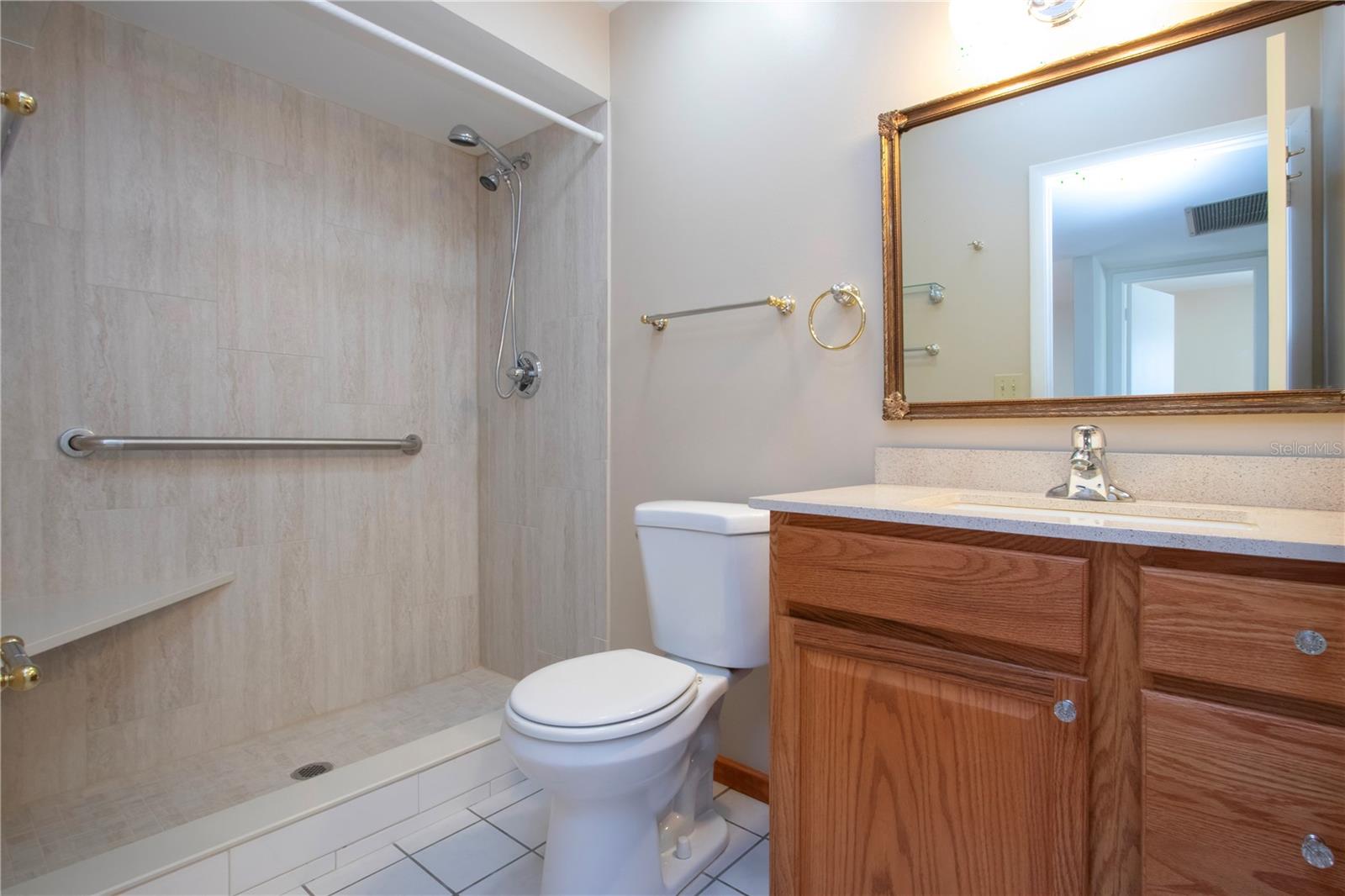 Guest  Bathroom with Updated  shower