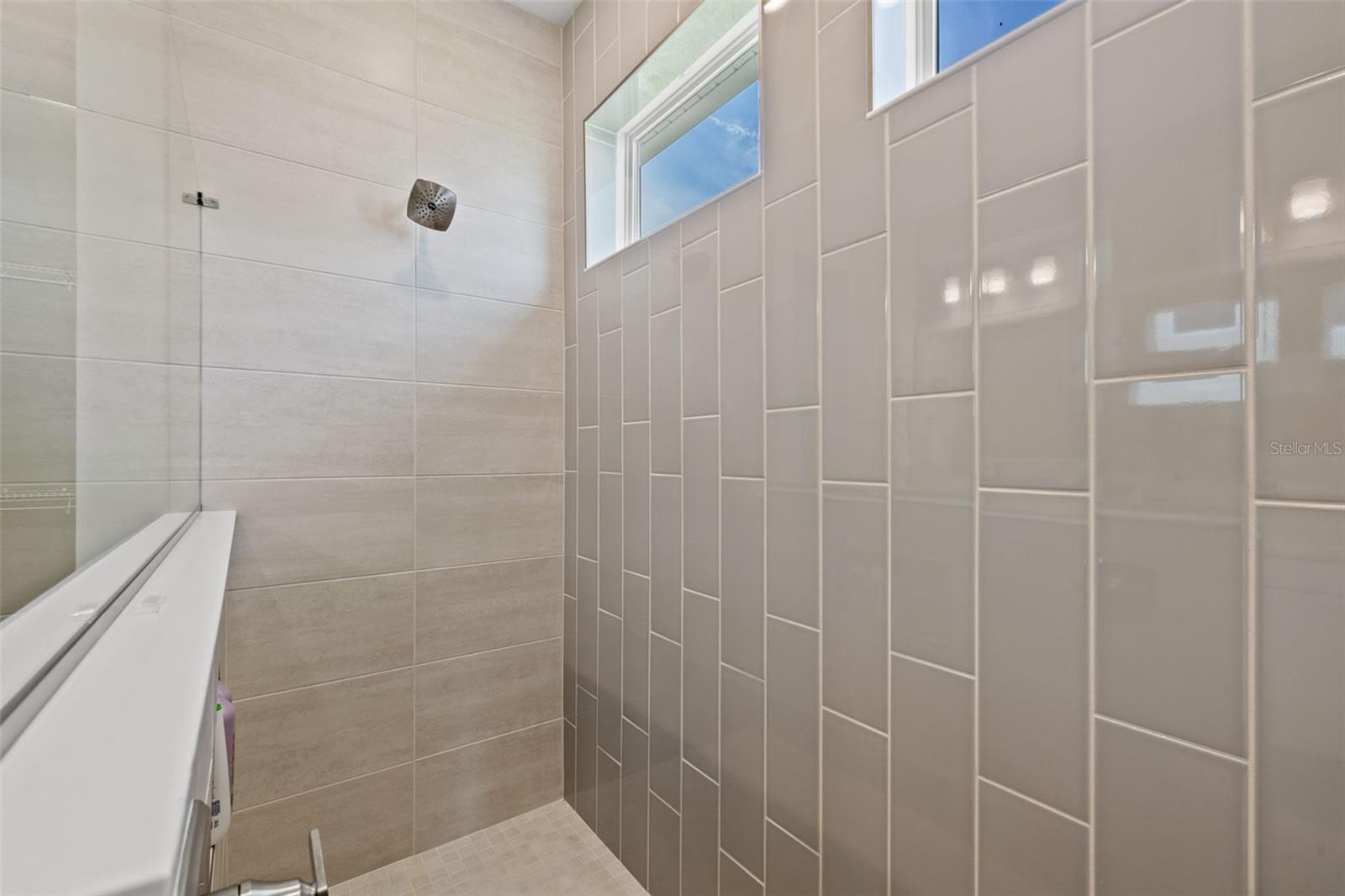 Primary Bathroom Shower