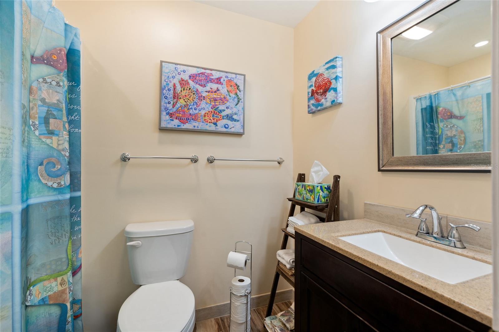 Guest bathroom