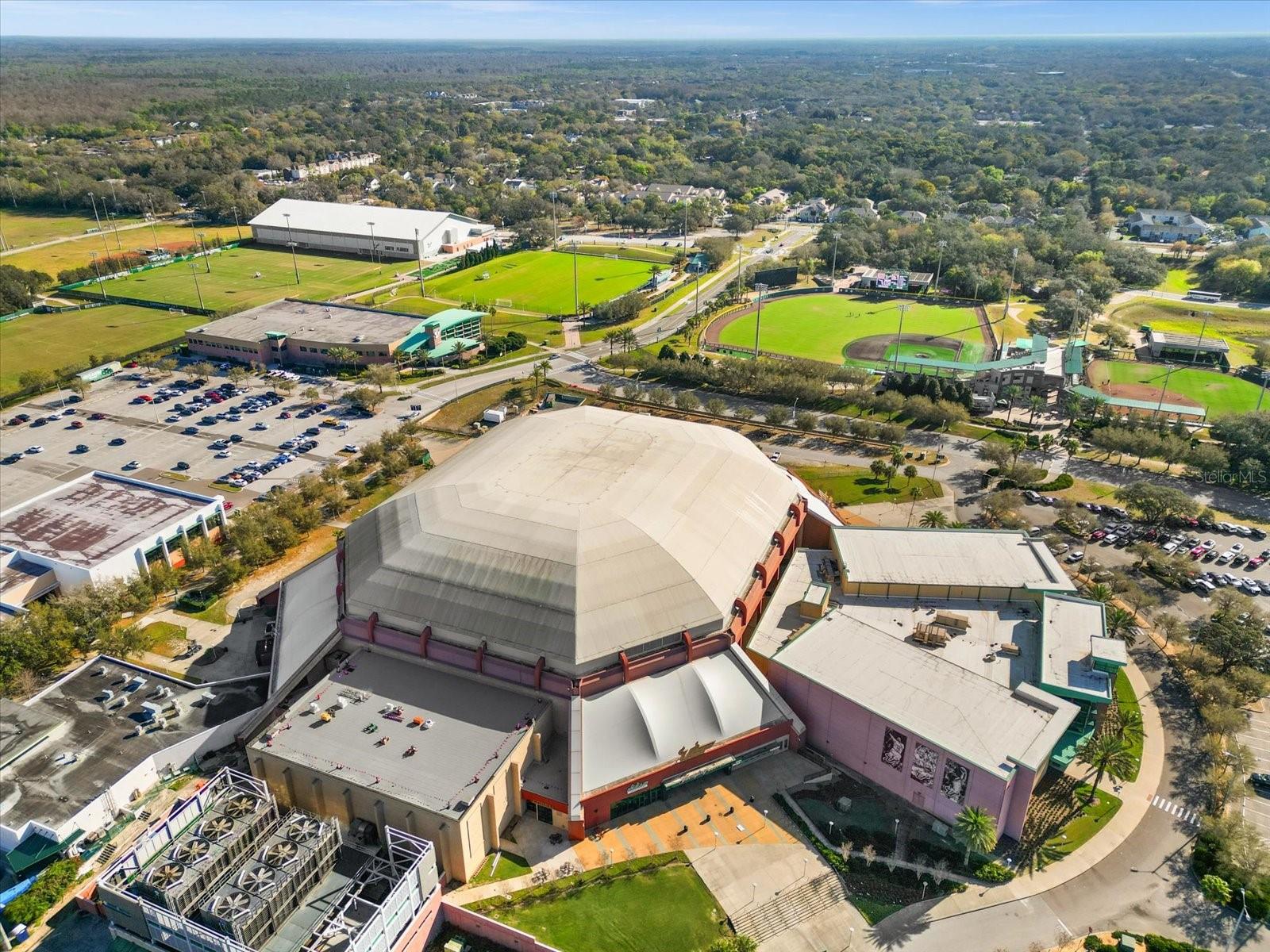 Yuengling Center