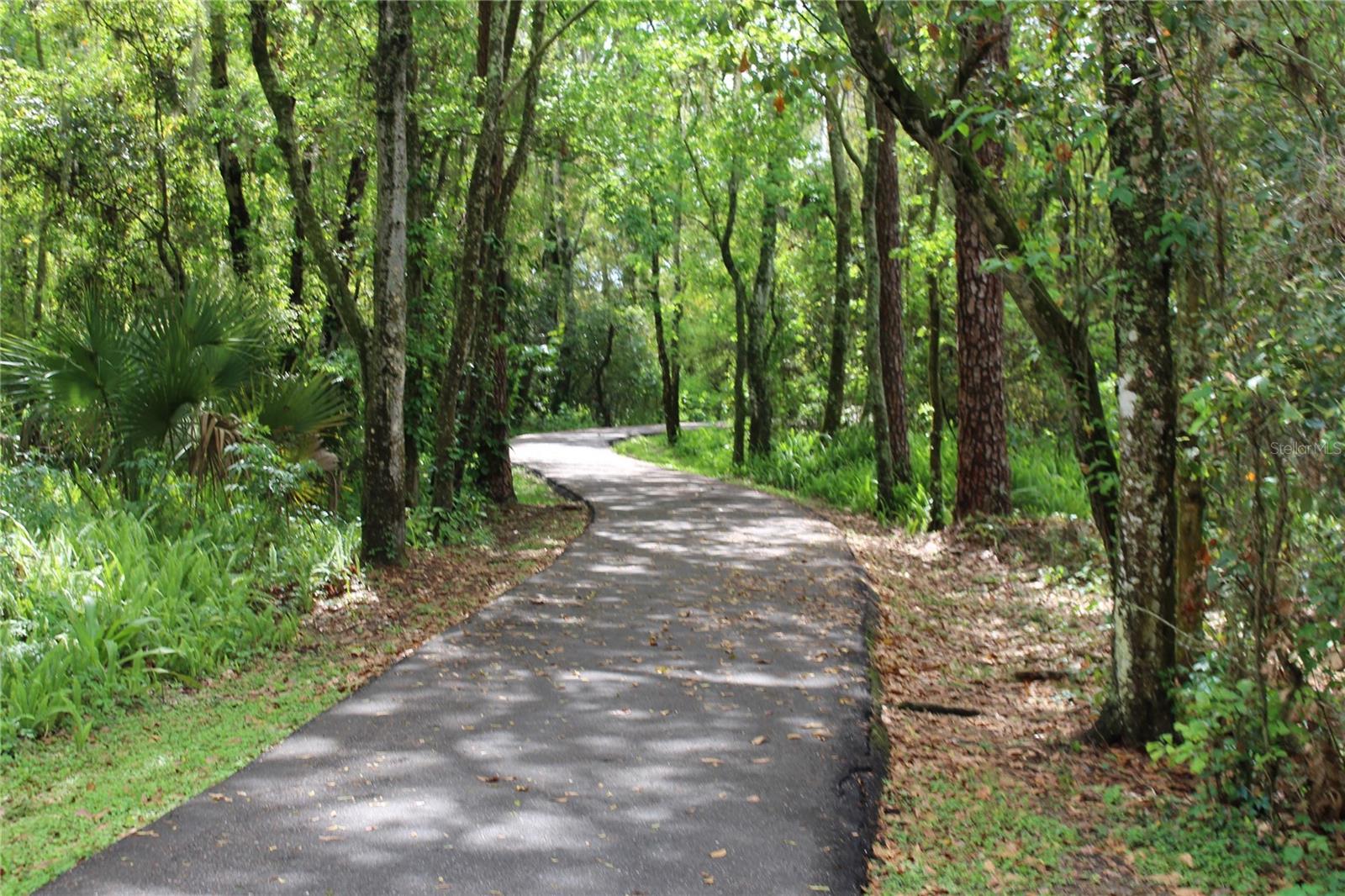 Walking Trail