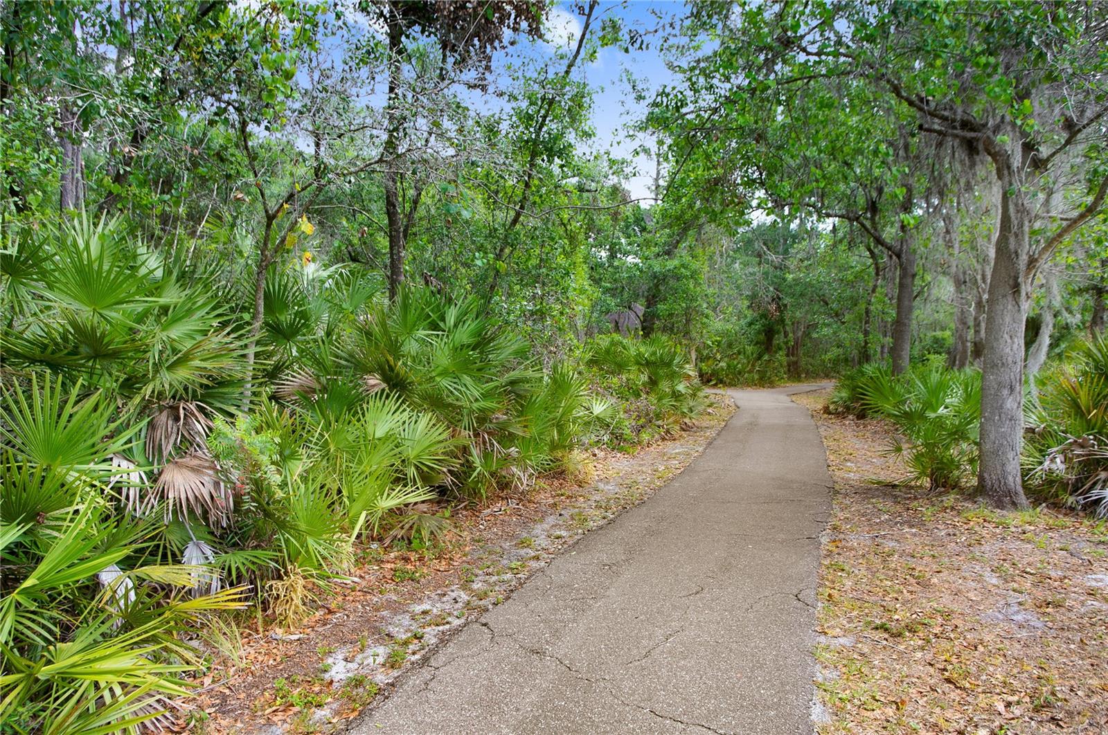 Walking Trail