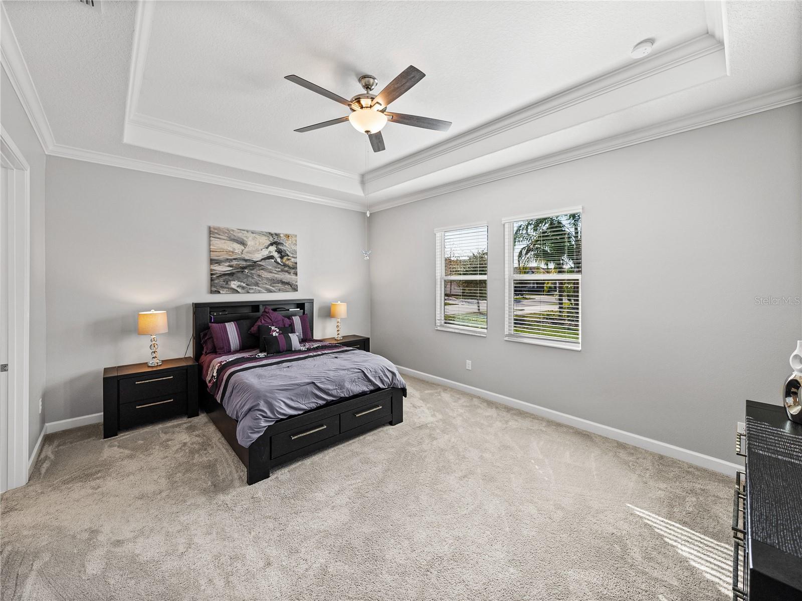 MASSIVE Master bedroom, fit for a KING