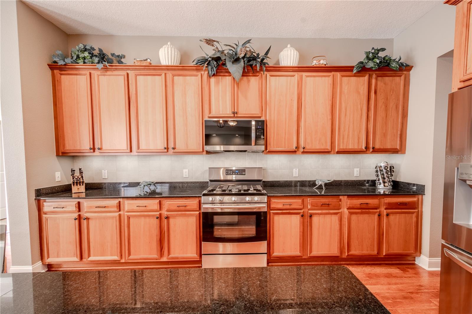 The kitchen features a full suite of appliances including a gas range, a new microwave and plenty of counter space for meal prep.