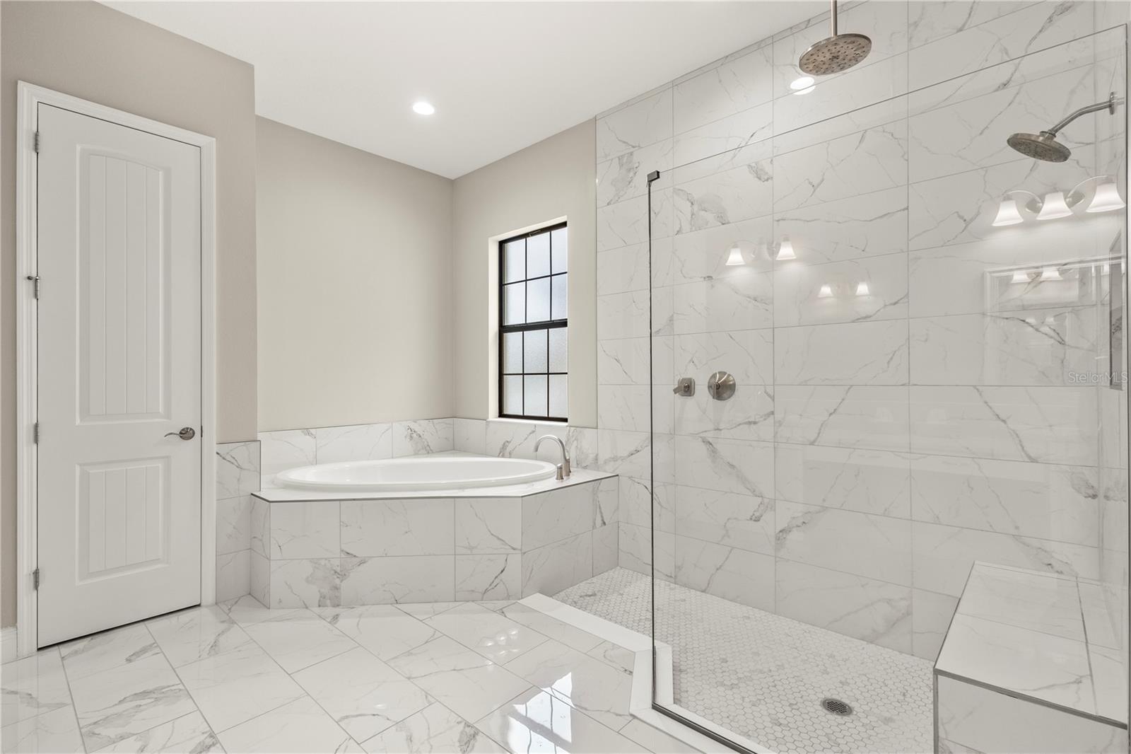 Huge Walk-in Shower and soaking tub