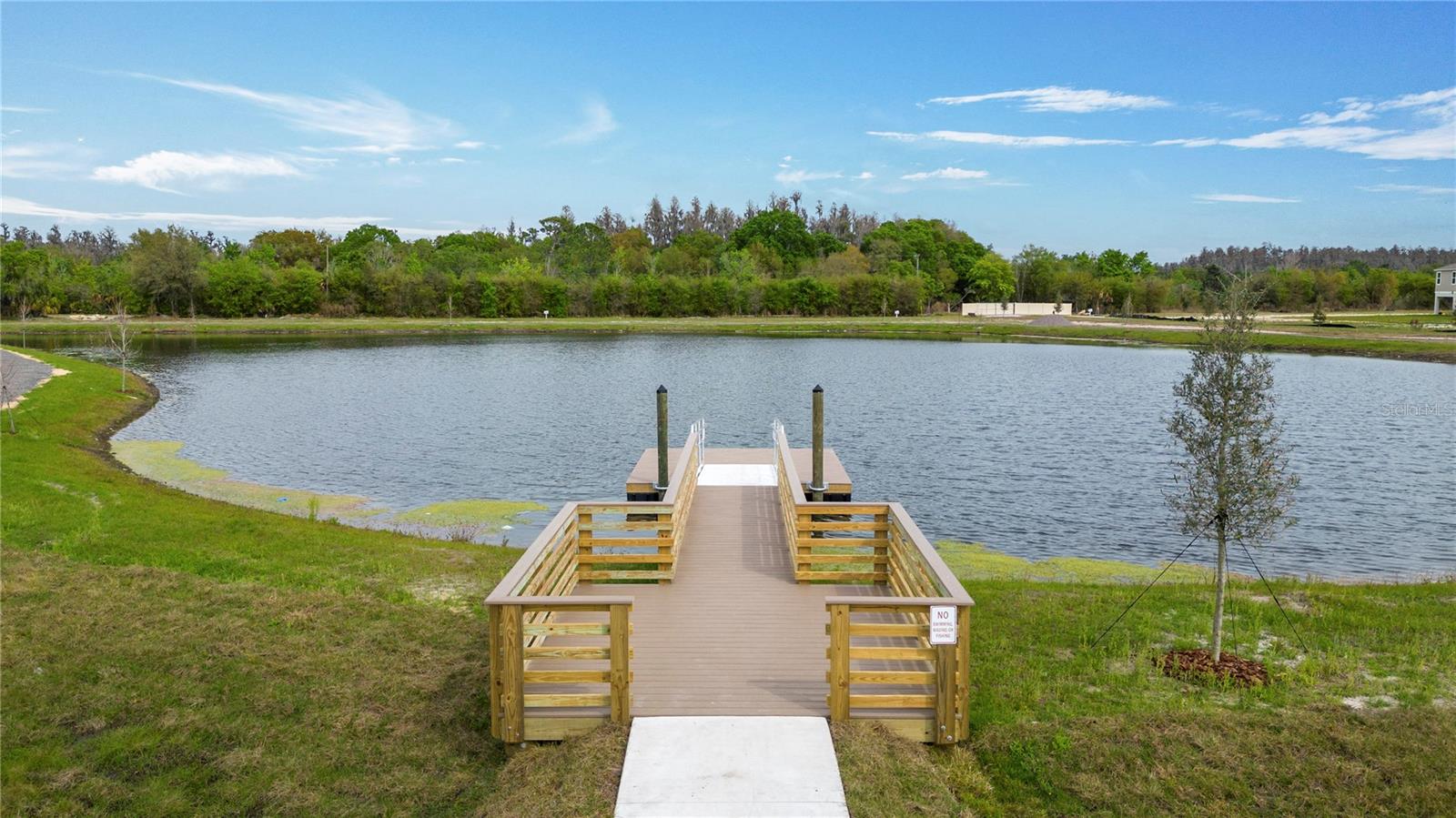 Dock overlooking the pond