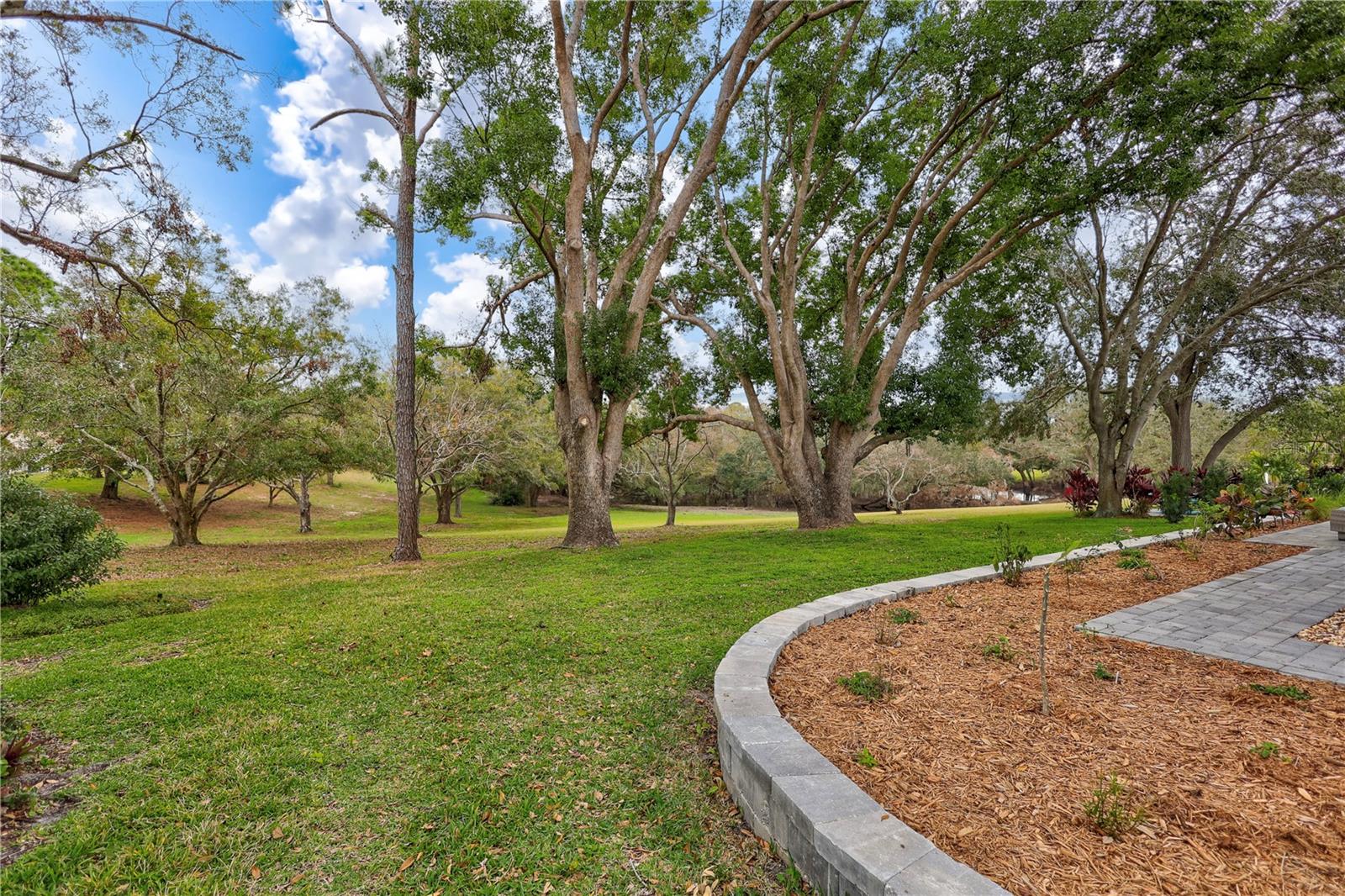 spacious back yard with so much privacy