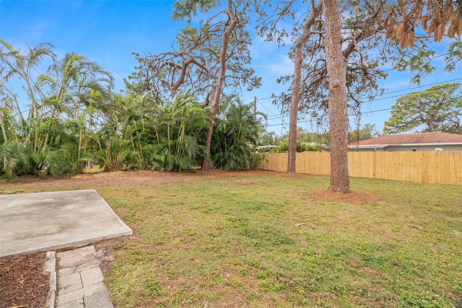 Amazingly spacious backyard.