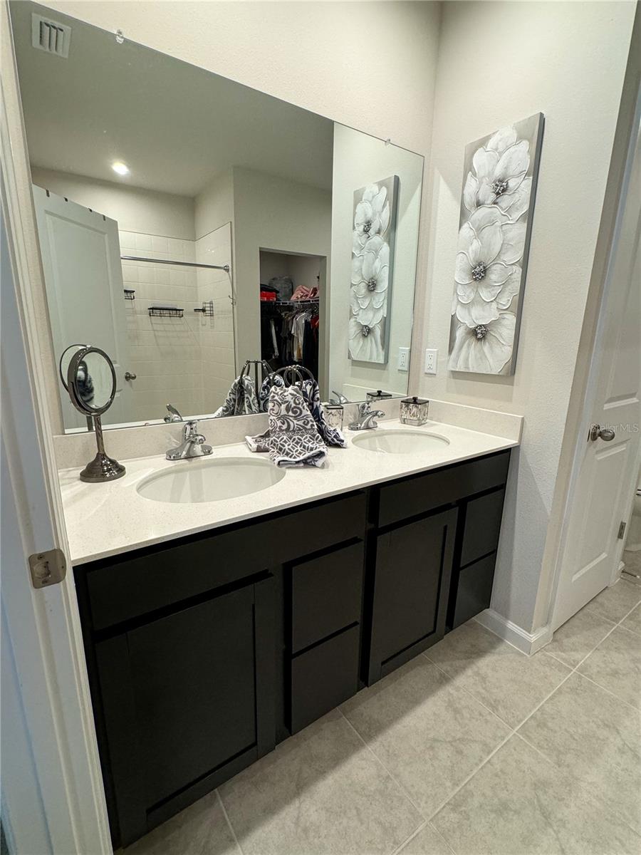 Master Bathroom Sink