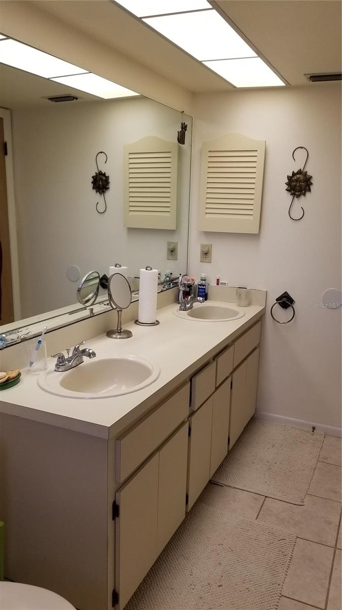 Master Bathroom sink area