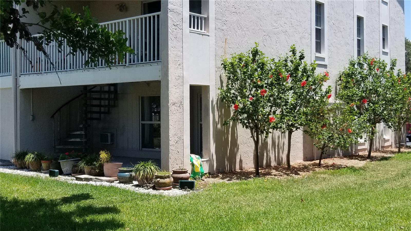 Back Patio Area-Corner