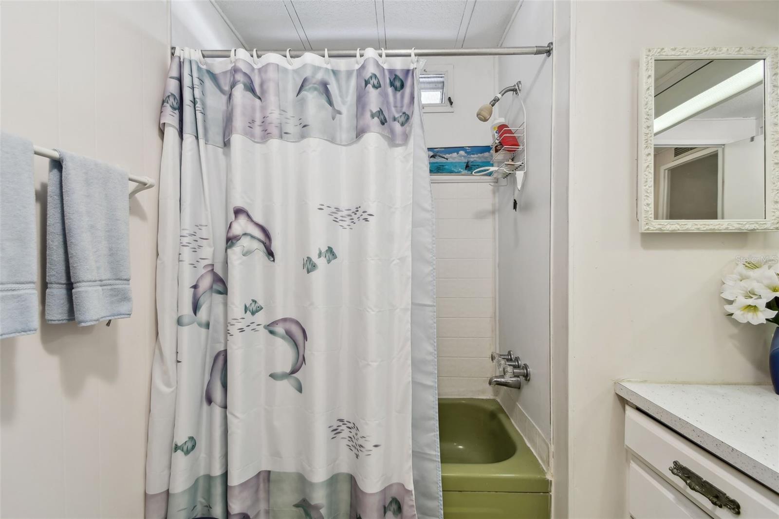 Primary bathroom with tub and shower