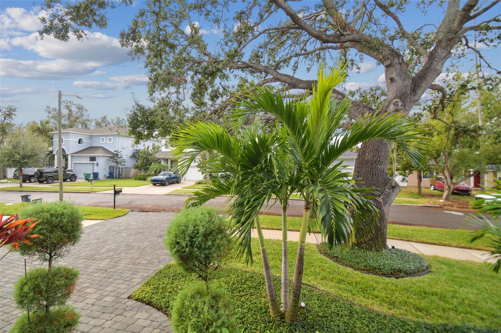 View from the Front Door to the Street