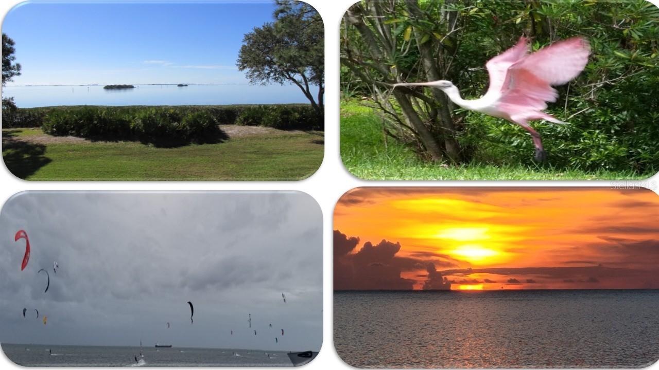 VIEWING is a major pastime from this multi-view end unit upper floor condo overlooking both the Gulf and  Nature Preserve.  Whether it be seascapes, migratory birds, kite surfers, kayakers or simply beautiful skies and sunsets.