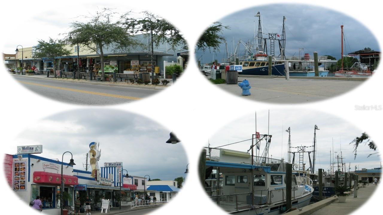 Speaking of Tarpon Springs, it’s just 3 miles away from the property.  This quaint and Historic Greek town is famous for its Sponge Docks, great Greek restaurants, fresh fish and shrimp right off the boats.