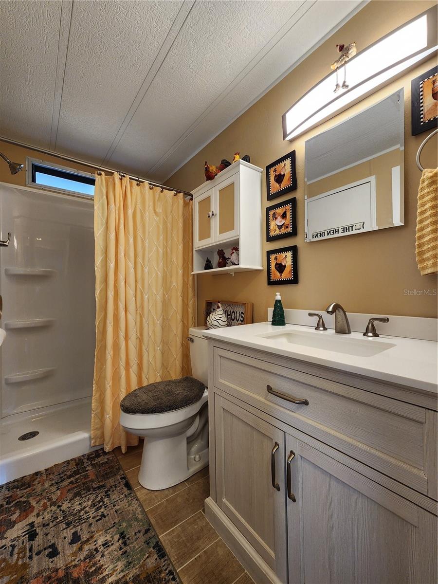 Updated hall bathroom with low step walk-in shower.