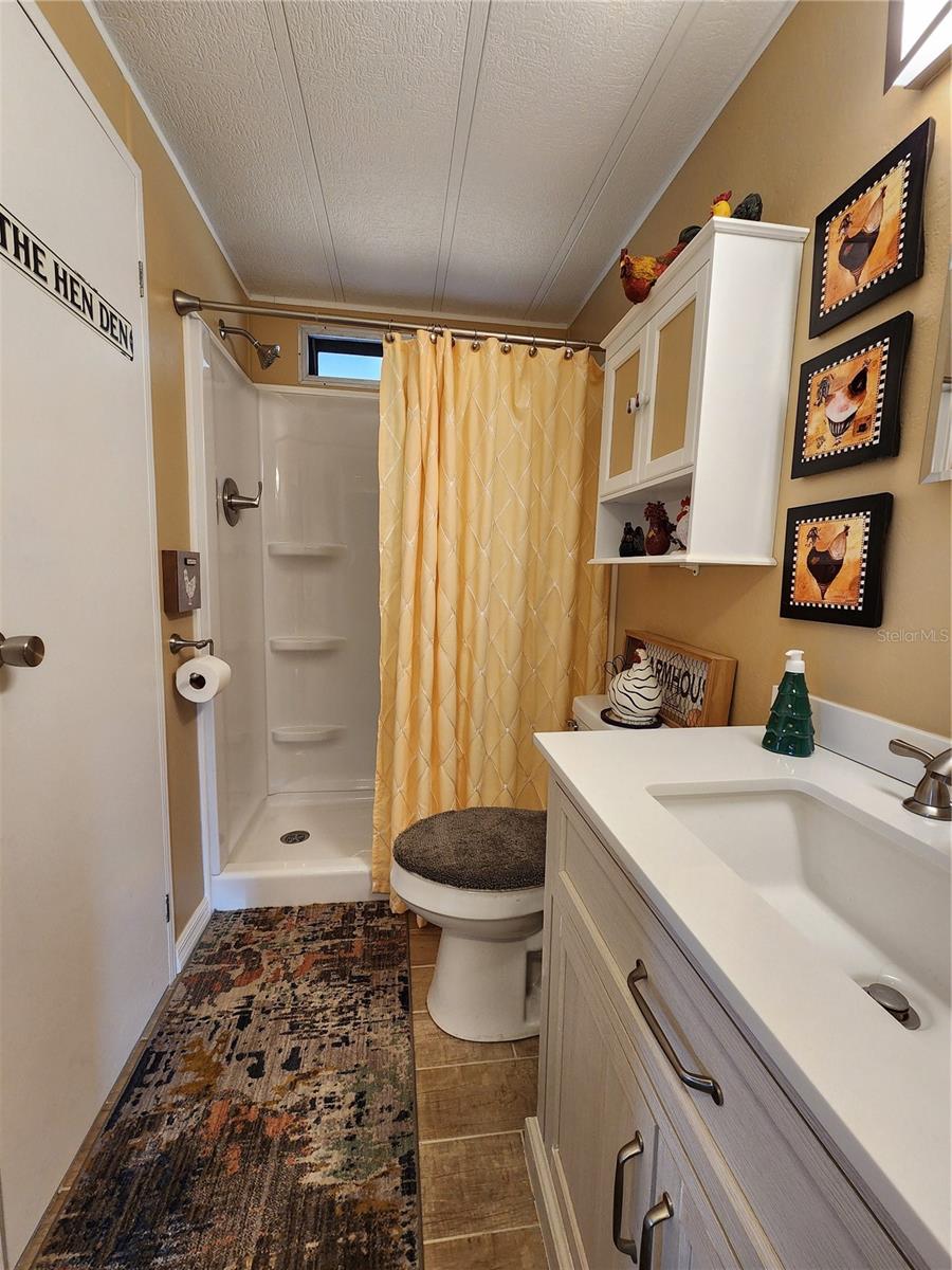 Updated hall bathroom with low step walk-in shower.