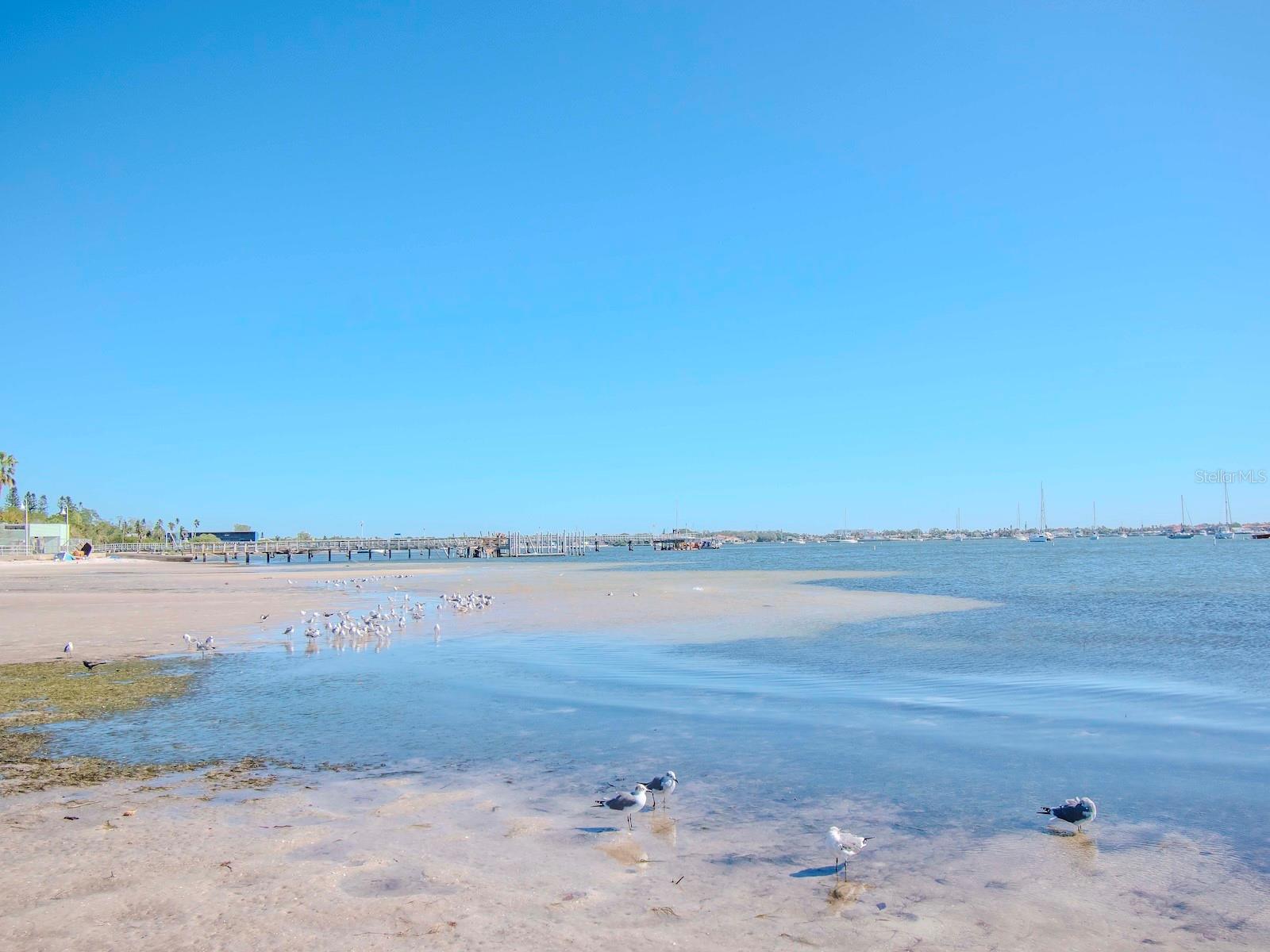 GULFPORT  MUNICIPLE BEACH