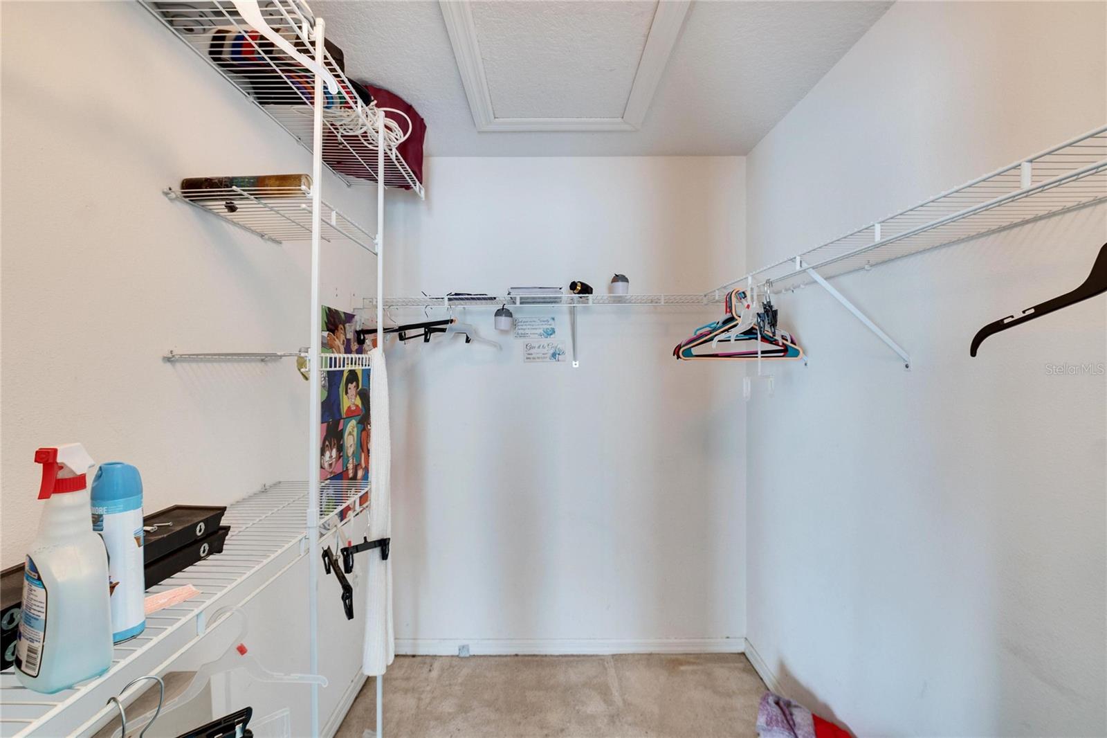 Master Walk-In Closet