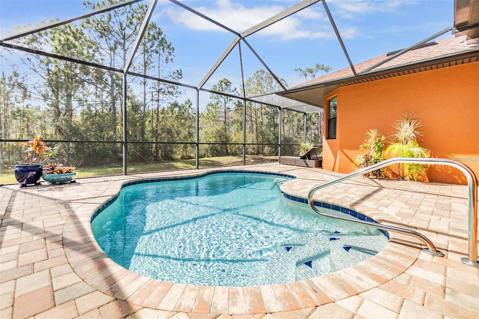 Screened-in pool and lanai