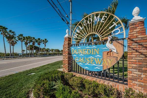 Dunedin Causeway