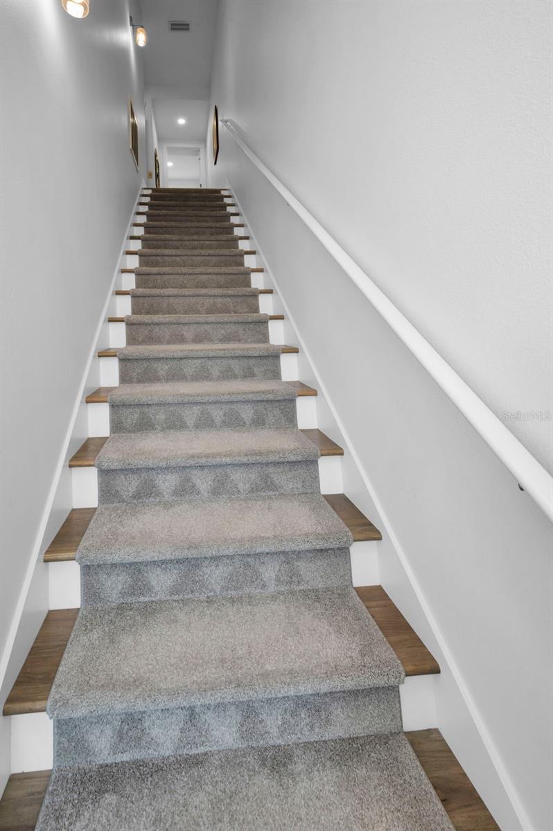 Carpeted Stairway to Main Level