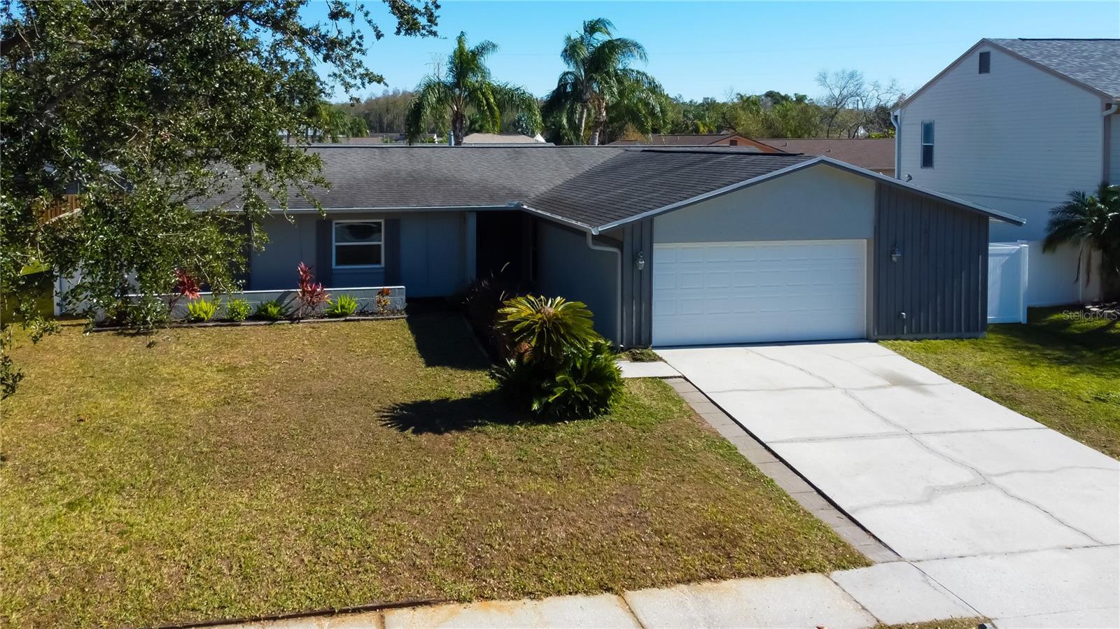 12. Front Yard Landscaping Refreshed with Black Mulch, New Foxtail Ferns, Palms Trimmed..