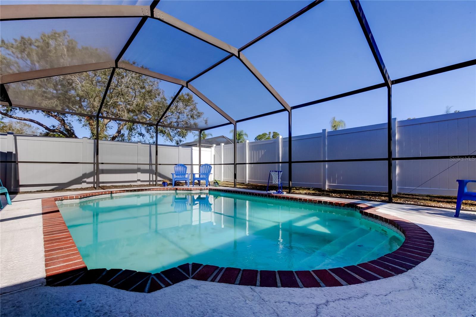 66. Inground Concrete Pool w/ Freshly Rescreened Birdcaged Topper (34.10' x 22.9') Truly Steals the Show!