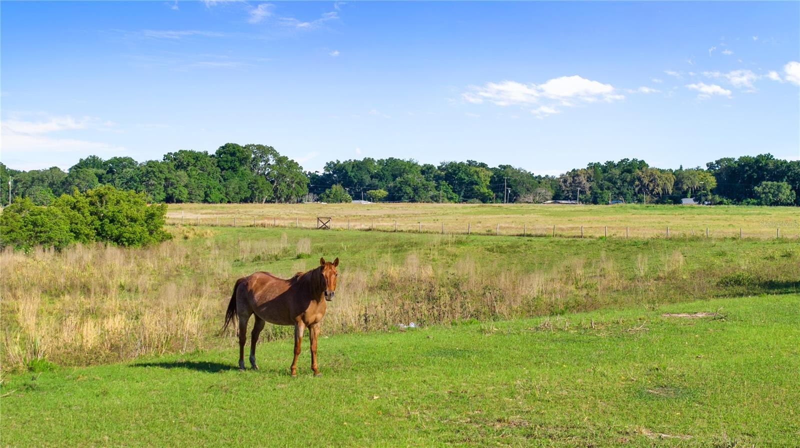 Premier Equestrian Living! Stonelake Ranch is a paradise for equestrian enthusiasts, featuring 100+ acres of riding trails winding through scenic landscapes.