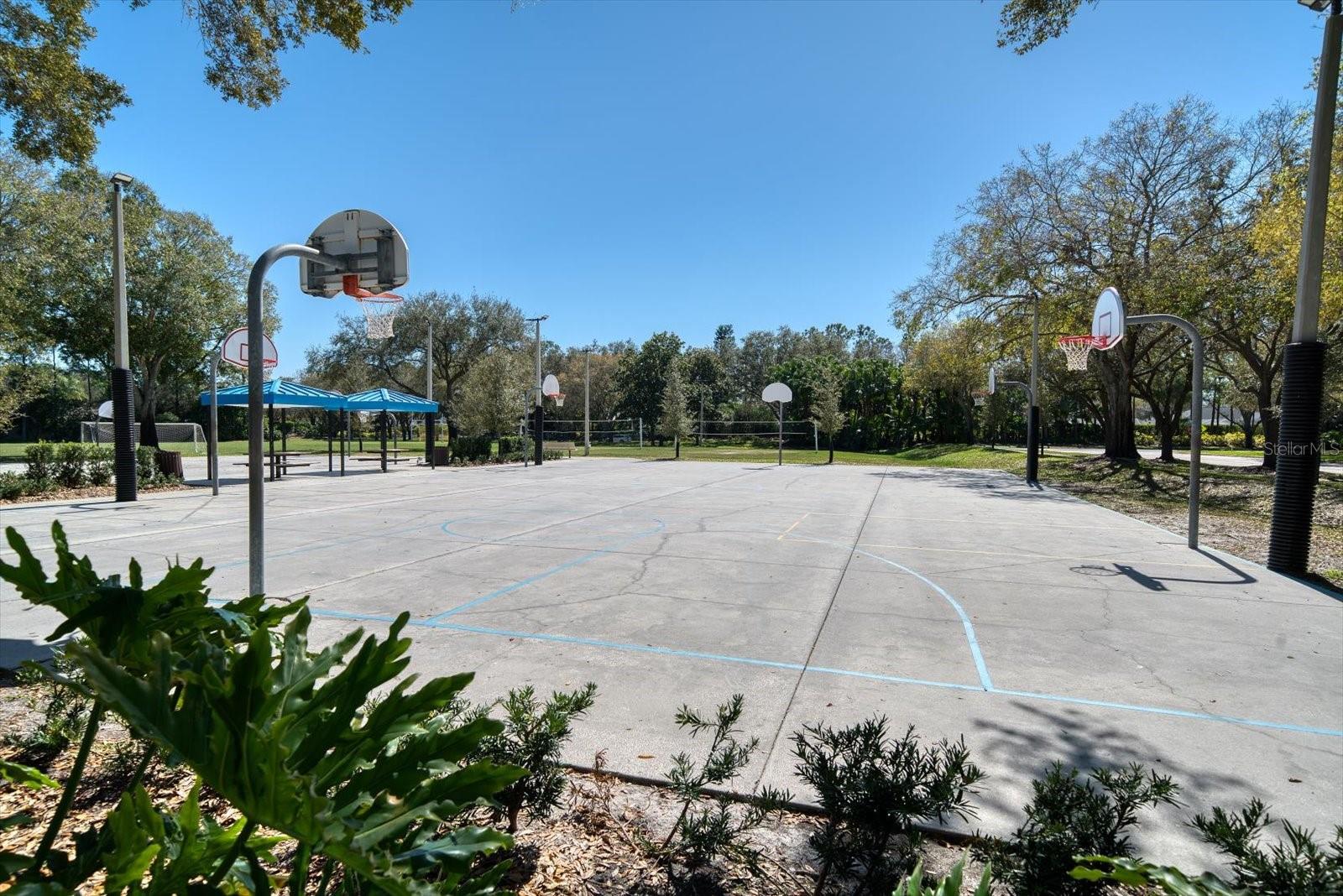 Basketball court