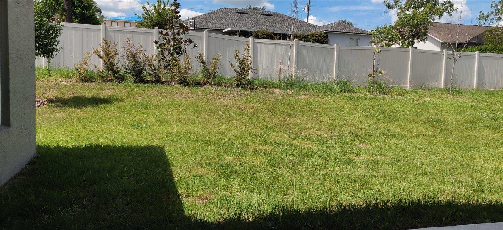 Backyard with back fence