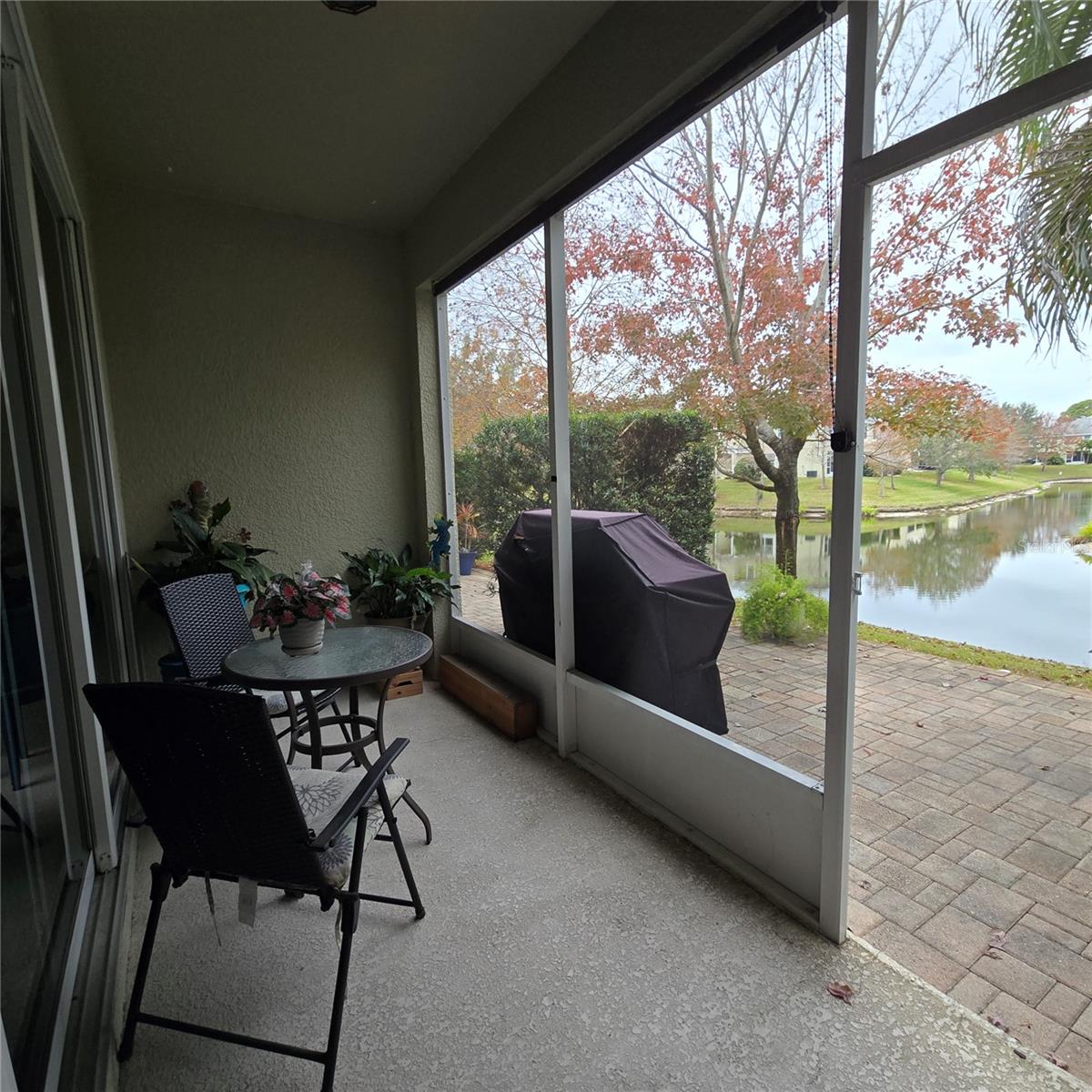 Screened patio