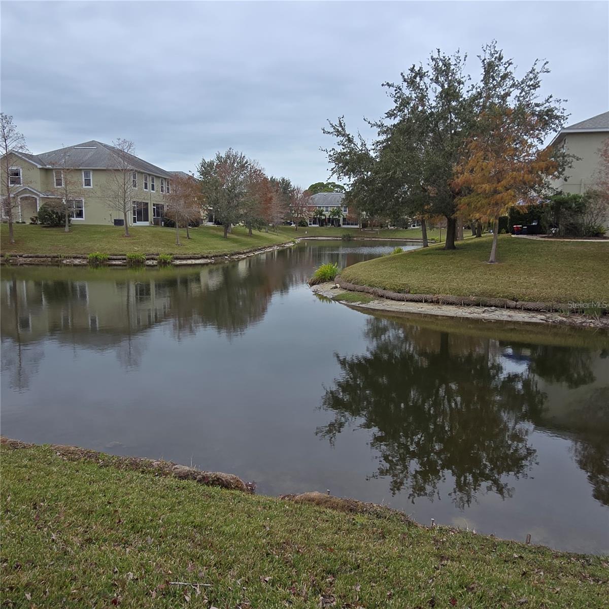 View of pond from patio