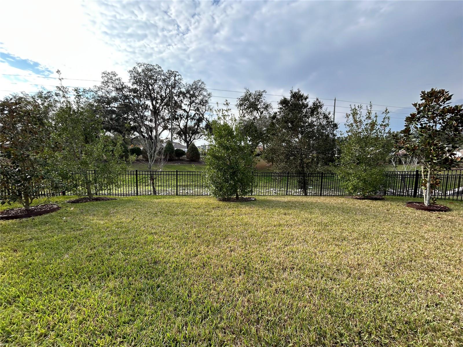 Large iron fenced yard