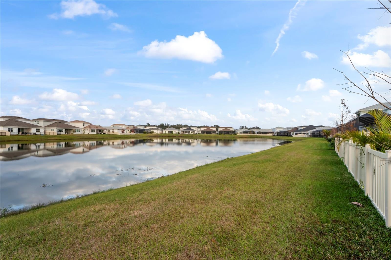 Pond View