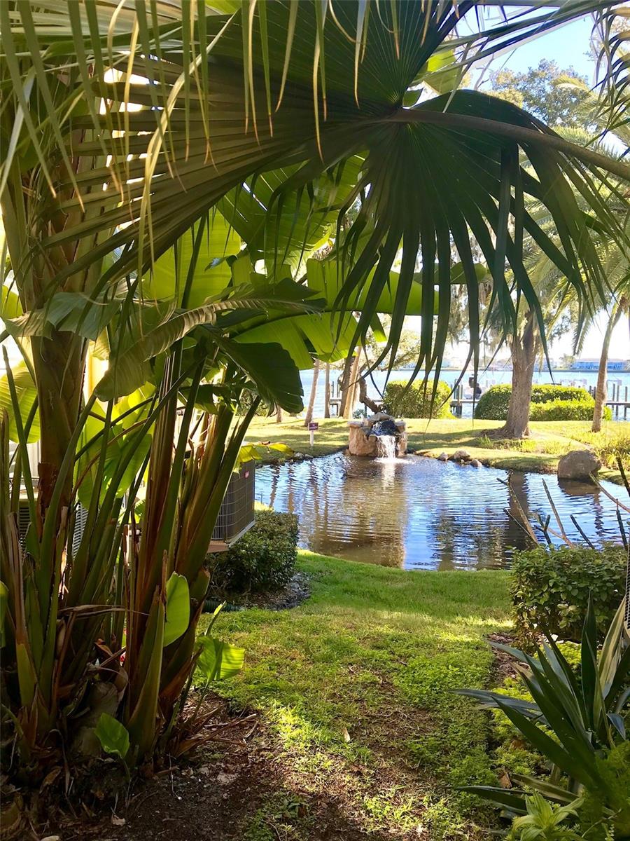Majestic pond and waterfall