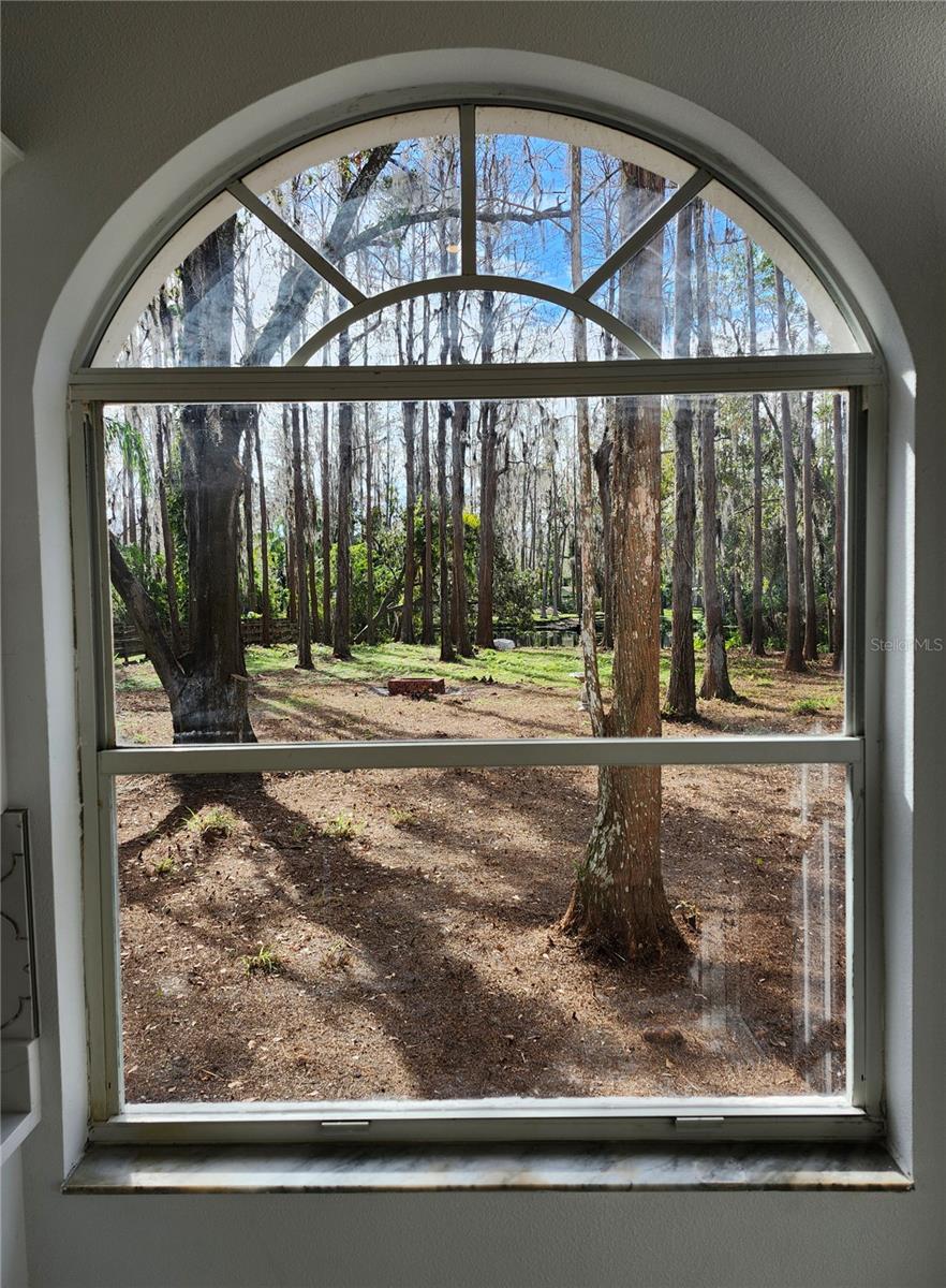 View from the kitchen area