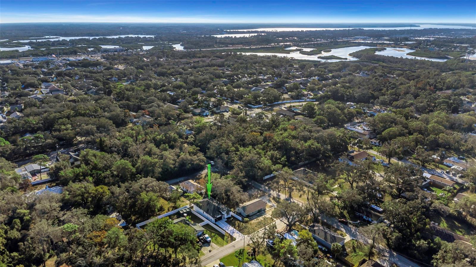 Near Tarpon Springs